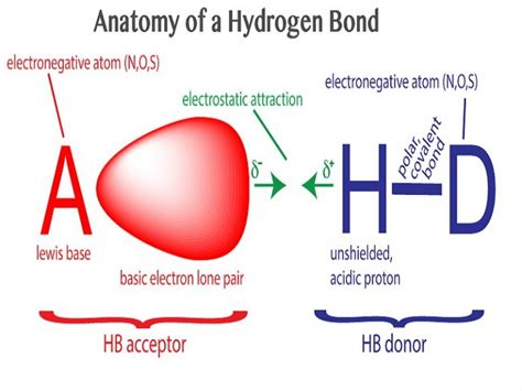 Hg bond type. Things To Know About Hg bond type. 